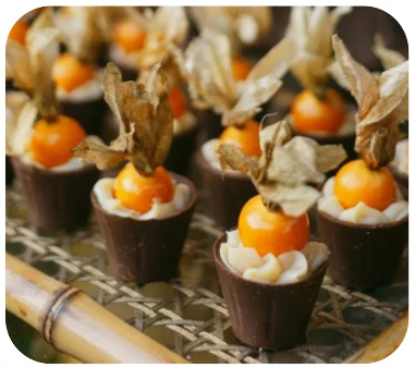 Copinho de Laranja com Physalis