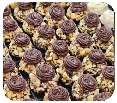 Rocher